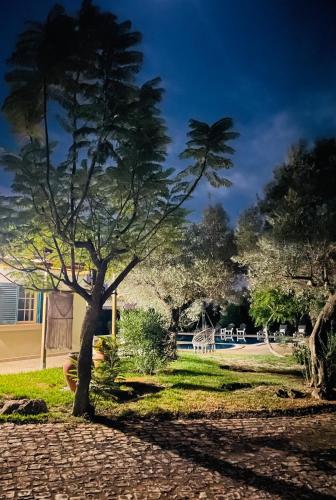 Olive Villa in Franqueira