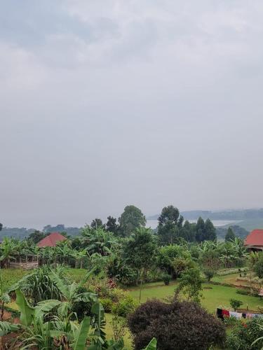 Заобикаляща среда, Lulongo Lake View Retreat in Вакисо