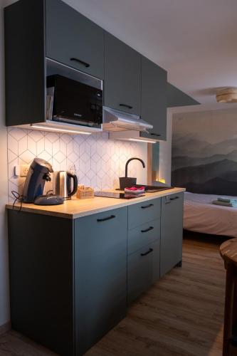 생 모리스 - 알자스 Rêverie du Val (Reverie du Val) 2성급 싱글룸 부대시설