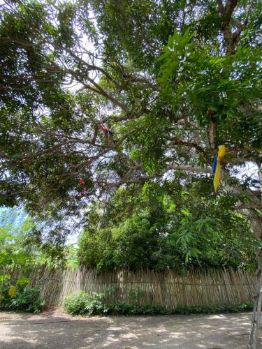 Cabana roble verde 2 in San Onofre