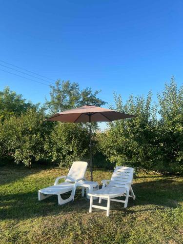 Kuca sa bazenom Oazis in Pećinci