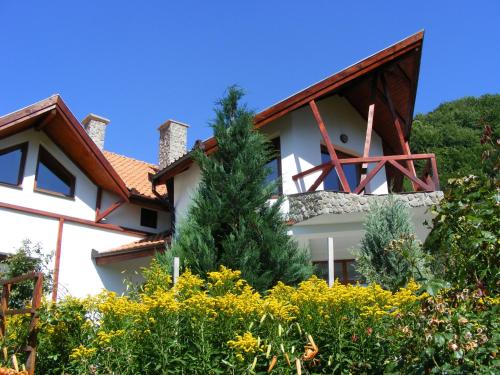 阿纳斯塔西娅旅馆 阿纳斯塔西娅旅馆