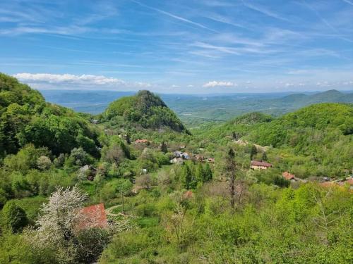 阿纳斯塔西娅旅馆 阿纳斯塔西娅旅馆