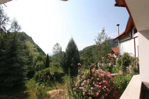 阿纳斯塔西娅旅馆 阿纳斯塔西娅旅馆