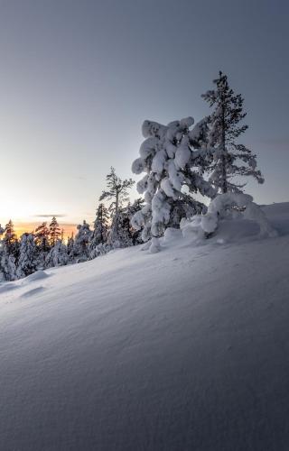 Surrounding environment, Lux Lapland Gielas Utsuvaara Levi in Levi