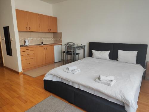 Belle Apartments-Elegance Apartments - image 2