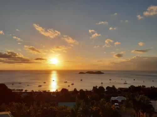 Logements Vue Mer accès piscine en Guadeloupe - Location saisonnière - Bouillante