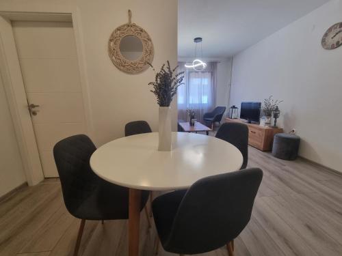 Apartman Centar in Vukovar
