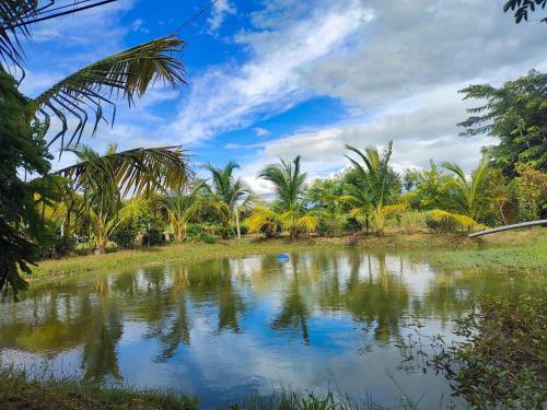 촘통 บ้านสวนกางโต้ง Ban Suan Kang Tong 2성급 게스트하우스 전망