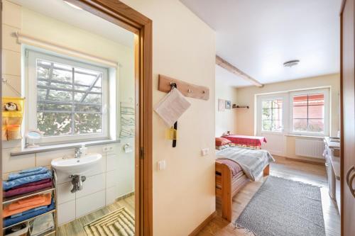 Provincija - image 10