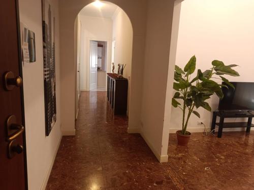 Beauty apartment in the green, direct link with center, Roma (foto 8)