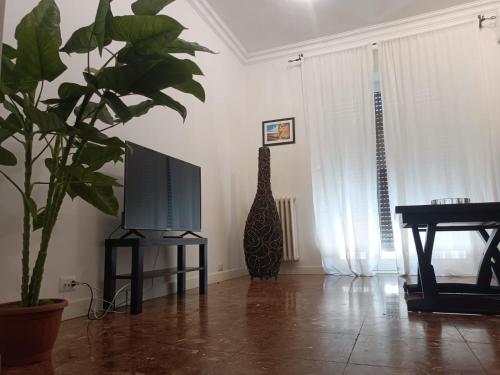 Beauty apartment in the green, direct link with center, Roma (foto 10)