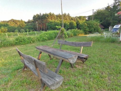 花園, Das kleine Weinberghäuschen in Garabonc - Jägerpince (Das kleine Weinberghauschen in Garabonc - Jagerpince) in 高勞邦茨