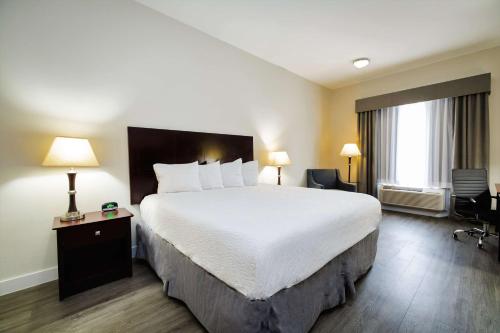 King Room - Non-Smoking