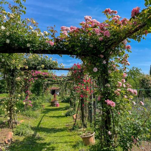 Maso Di Villa Relais Di Campagna - image 5