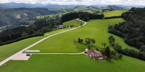 Stein im Holz in Scheibbs, Österreich