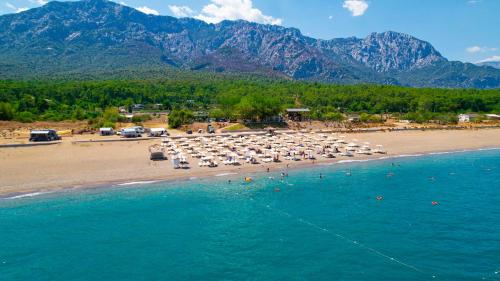 Foto - Viking Garden Hotel