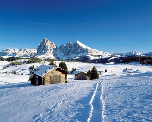 Hotel Friedemann - image 13