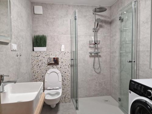 Apartament Sosny 2,1 nad jeziorem OTW Borówno Wielkie (Apartament Sosny 2,1 nad jeziorem OTW Borowno Wielkie) in Skarszewy