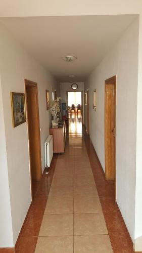 Guest House Zarko & Mara photo 3