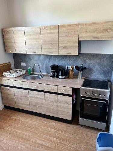 virtuve, Ferienwohnung am Crisela in Ebersbach Sachsen