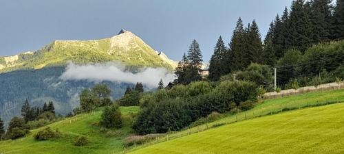 Appartment Krausberghof - image 2