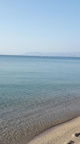 RoRo Home Via Del Mare 4