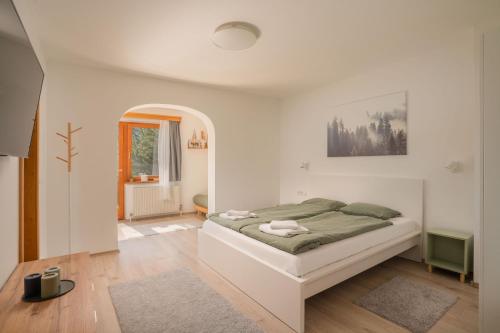  LOBE Apartment in Bad Mitterndorf