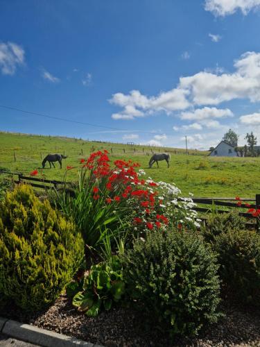 View, Drummonds House in Correagh