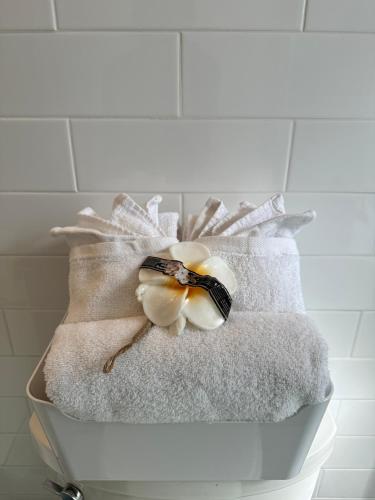 ZenOasis pvt BedBath Studio by NUMC