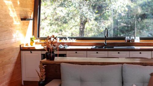 SEGREDO do VALLE - BOSQUE