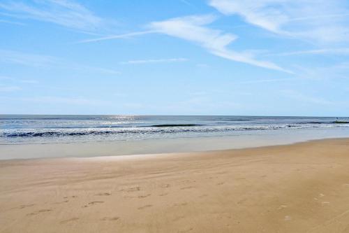 Jacksonville's Delight Jacksonville's Delight