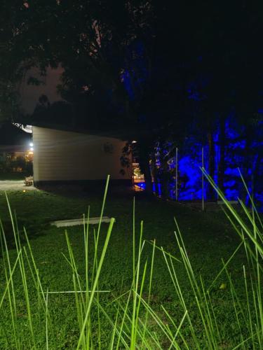 Charmin forest cabin, Fortuna (fotografie 8)