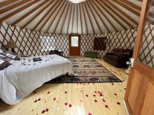 Alderbrook Yurt in Warrensburg, USA