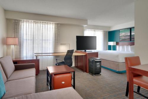 Pure Pet-free King Studio with Sofa Bed