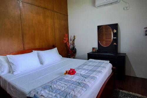 Sekawa Bay Beachfront Retreat in Dreketi