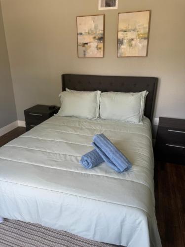 Cozy 3 bed home near midtown in Houston, USA