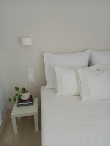 Narika Aether, Kamena Vourla (foto 6)