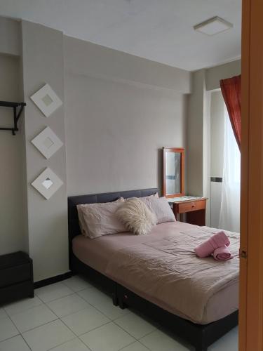 Homestay irislara Homestay irislara