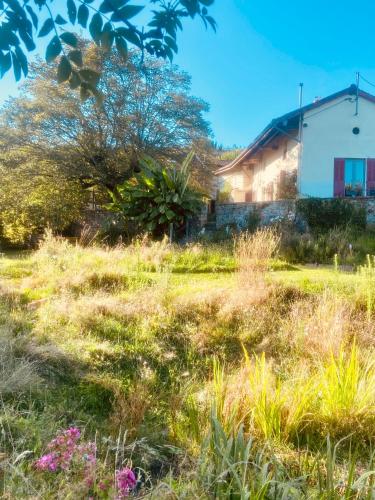 Kert, Pannonica charmante maison champêtre (Pannonica charmante maison champetre) in Montagny-sur-Grosne