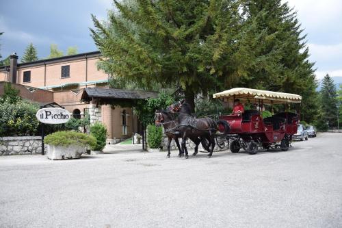 LH Albergo Il Picchio