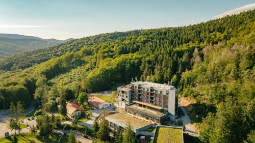 586159745 Balvanyos Resort - Peakture Hotel & Grand Hotel Balvanyos