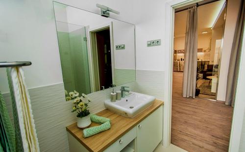 One-Bedroom Apartment image 6