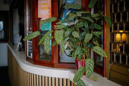 Glasgow Youth Hostel - image 10