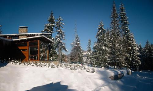 Pension Iara - image 13