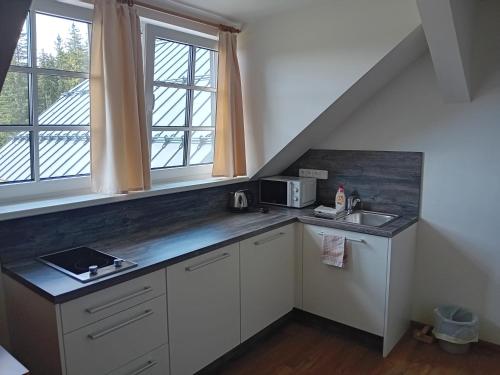 Apartmány u lesa (Apartmany u lesa) in โมดราวา