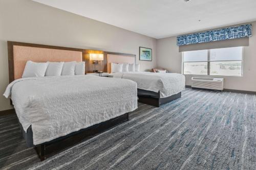 Hampton Inn & Suites Selma-San Antonio/Randolph AFB - image 10