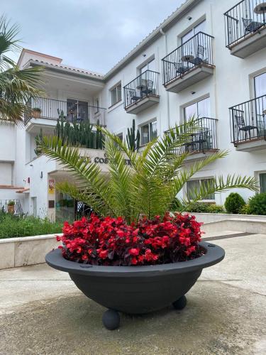 Hotel Costa Brava - image 5