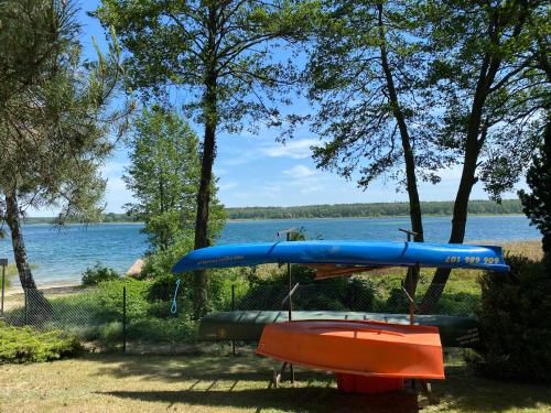 الأنشطة, Domek Marzeń Powidz (Domek Marzen Powidz) in Przybrodzin