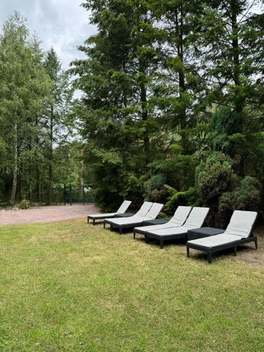 المنطقة المحيطة, Domek Marzeń Powidz (Domek Marzen Powidz) in Przybrodzin